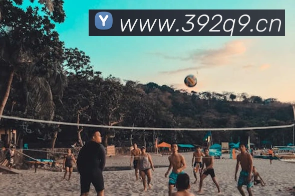 乐鱼app官网正式版下载平台生态图