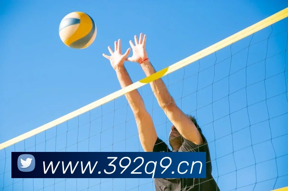 乐鱼app官网正式版下载全站App